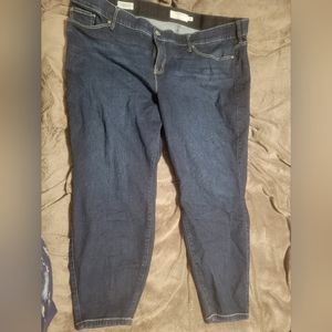 Gently Used Torrid Bombshell Skinny Jeans